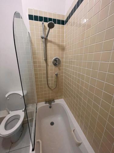 Entire Apartment in Heart of Dublin - image 5