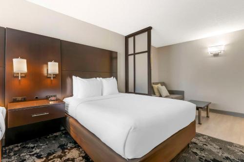 Comfort Inn & Suites Near Universal Orlando Resort-Convention Ctr - image 7