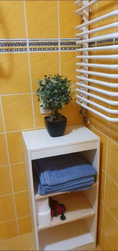 Apartament w Porcie Kołobrzeg - blisko plaży - molo - latarnia morska - image 4