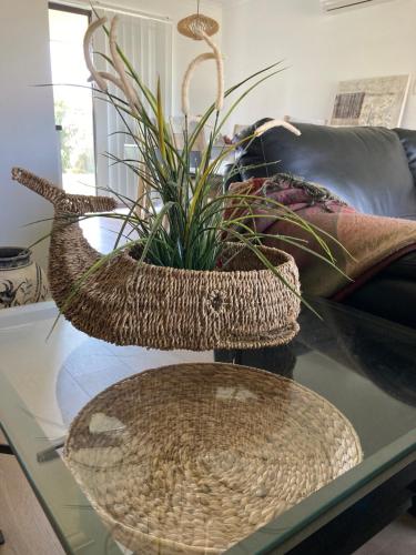 Captains Cottage - Pet Friendly Breakfast Included