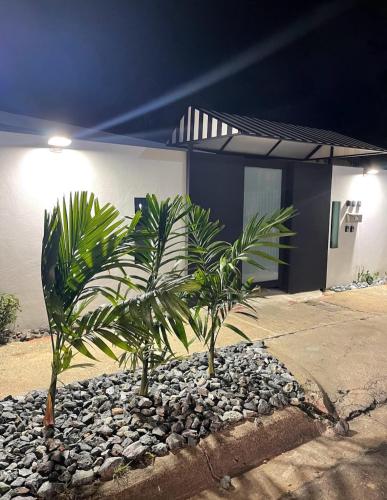 MAR DEL NORTE in San Juan