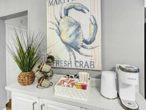 Walk2Beach Pets FastWiFi BlackStone Private Yard Washer and in Gulfport, USA