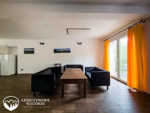 Közös társalgó / TV, Agroturystyka Leszczynowe Wzgórze (Agroturystyka Leszczynowe Wzgorze) in Gluszyca Gorna