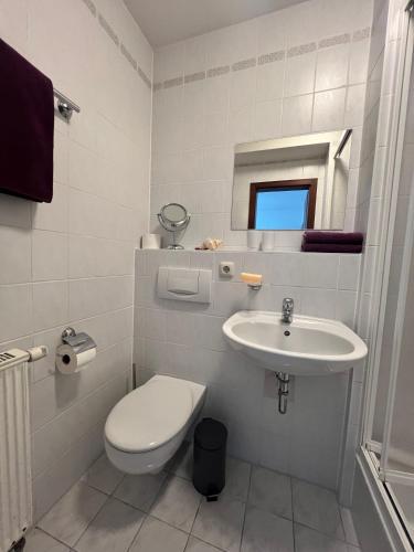 Kleine moderne Ferienwohnung in Laussnitz