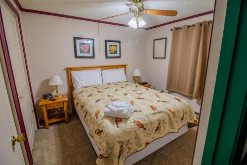 ML240 Wonderful Mountain View Close To Slopes EZ Parking WiFi in Snowshoe, USA