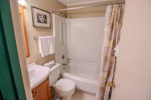 ML240 Wonderful Mountain View Close To Slopes EZ Parking WiFi in Snowshoe, USA