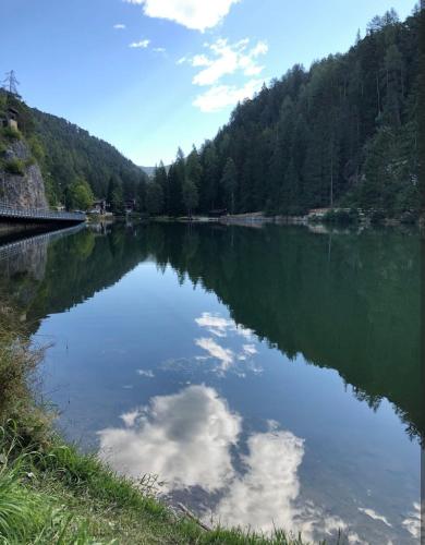 Appartamento Cologna in Castelfondo