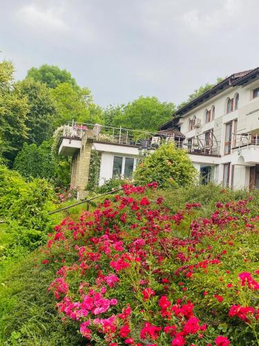 Rapsodia Pension, Suceava