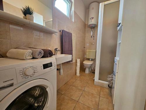 Apartment Buza - main image