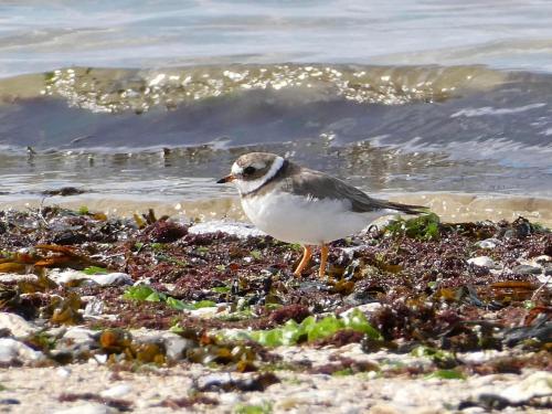 Buiten zorg Buiten zorg