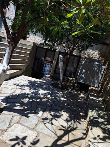 Sofia's house, Áfissos (fotografie 8)