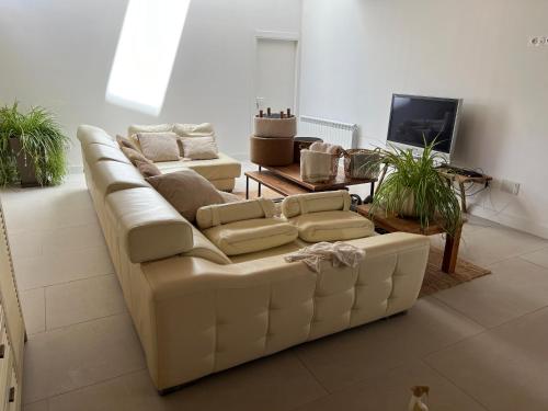 Faciliteiten, El Pecu Casa Rural Starfamiliar in Montorio