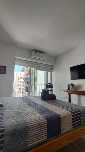 Elegante monoambiente estilo náutico, Buenos Aires (photo 3)
