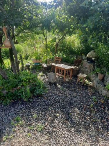 MyhomeIsYourhome in Aghavnadzor