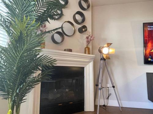 1 Bedroom XL Condo with King bed, Garden View, Parking Included, Los Angeles (photo 8)