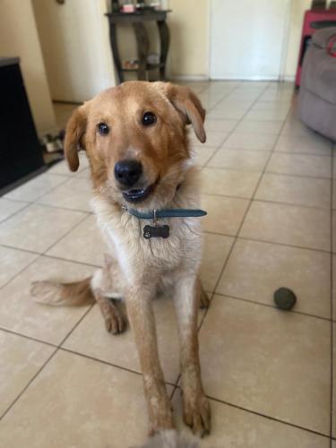 Arriendo habitación en Providencia