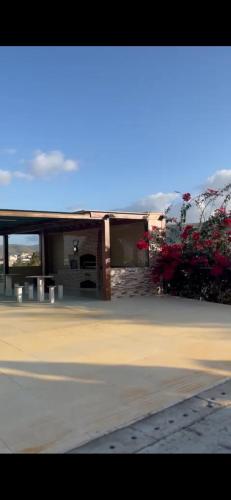 Várzea Grande eventos pombos pé