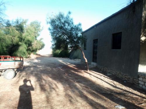Sagda, Siwa (Foto 9)