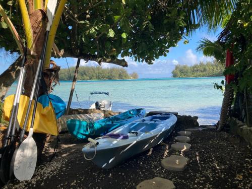 Faré Paloma Moorea (Fare Paloma Moorea) in ニュウラ