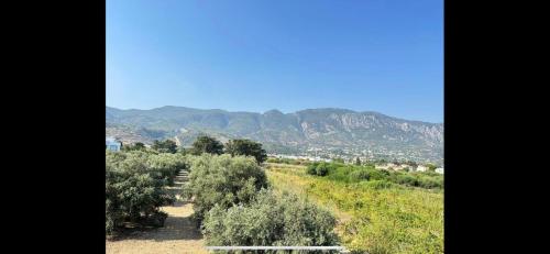 the best place the best place