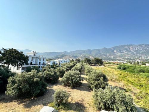 the best place the best place