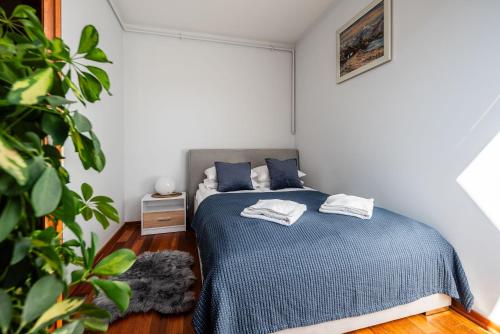 Apartamenty za Strugiem Zakopane obrázok