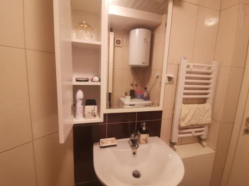Appartement entierement a vous, Skopje (fotografie 8)