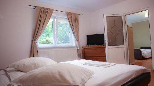 1 queen bed, 1 sofa bed