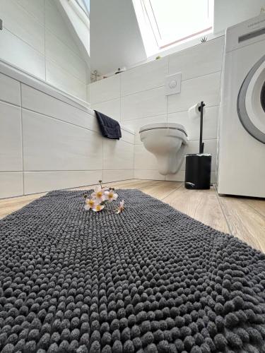 Gutshof von Gemünden Ferienwohnung 1 Gutshof von Gemünden Ferienwohnung 1