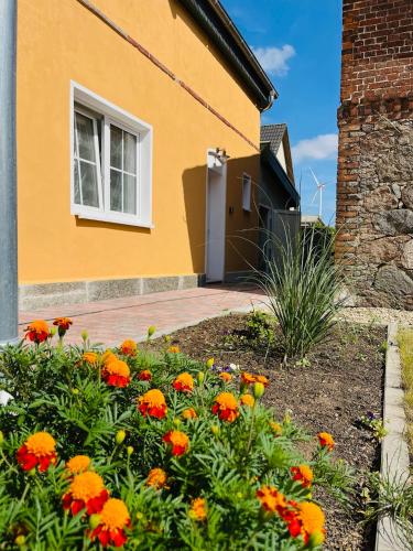 Gutshof von Gemünden Ferienwohnung 1 Gutshof von Gemünden Ferienwohnung 1