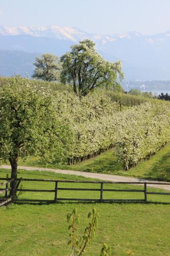 Hotel Montfort-Schlossle 1.6km von Weißensberg entfernt
