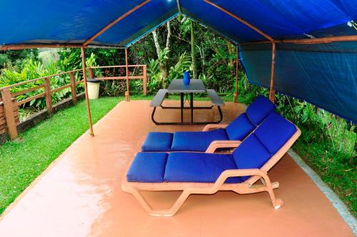 ห้องส่วนกลางสำหรับนั่งเล่น/ดูทีวี, Cabanas Ecobiosfera in ซาน อันเดรส ตุกต์ลา