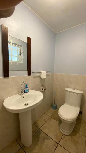 سكن ستيفنا سكن ستيفنا