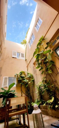 Einrichtungen, Surfhouse Boavista in Sal Rei