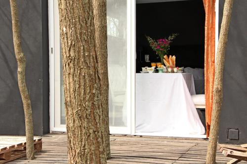 Mandarina suites in ตันดิล