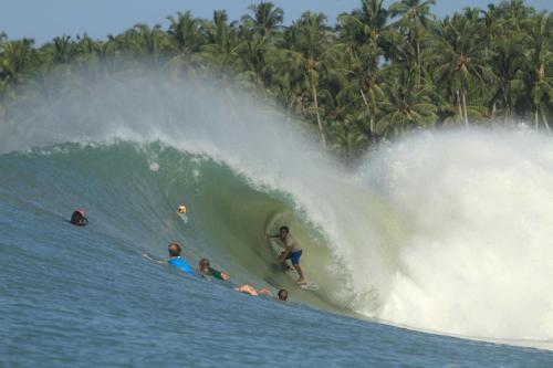 Lilys Nias Surf Camp in Botohilitano