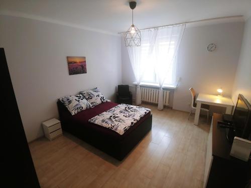 Barbara, Kalisz (foto 3)