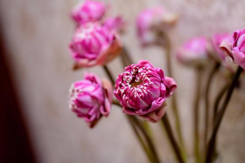 Skyline Boutique Hotel