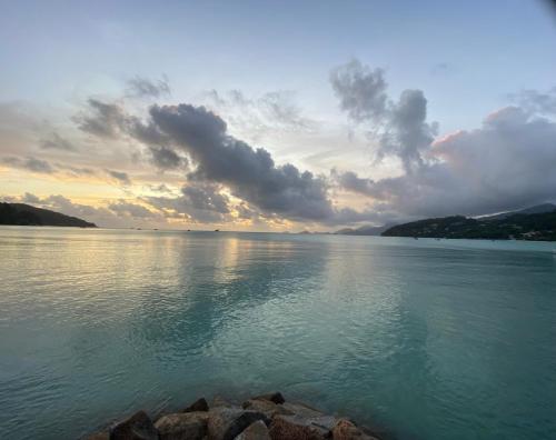 سكن ستيفنا سكن ستيفنا