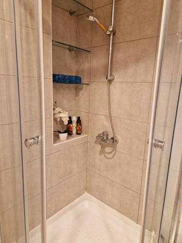 Kamche Lux Apartment, Skopje (fotografie 6)