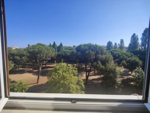 Culla di Diego BOX auto, Sospesi nel Cielo!