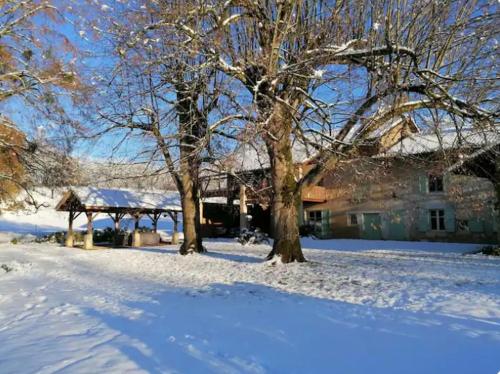 Ferme ancienne des tilleuls in Vinay (Rhone-Alpes)