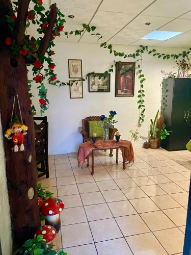 The Enchanted Forest inside The Alchemist Café - Shuttle services available, Antigua Guatemala (foto 5)