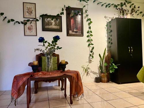 The Enchanted Forest inside The Alchemist Café - Shuttle services available, Antigua Guatemala (foto 4)