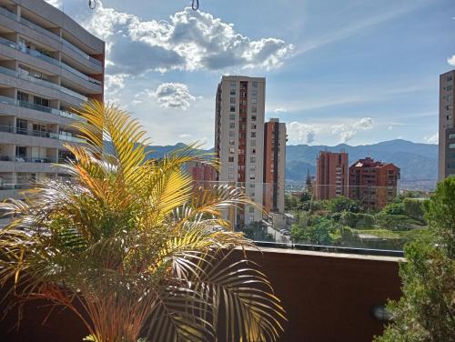 597127731 Hotel Lomas 10 Medellin by DICO