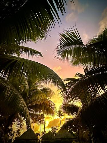 CHEZ VAIANA in Huahine - Iti