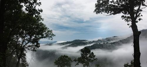 The Cypress Villa where luxury & nature meet