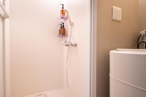 One-Bedroom Apartment image 10