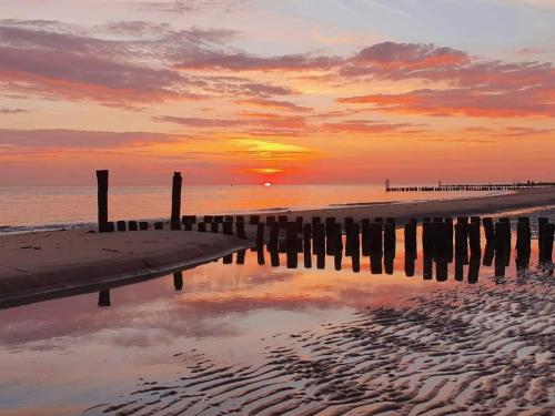 Woeste Hoeve 112 in 比赫凱爾克