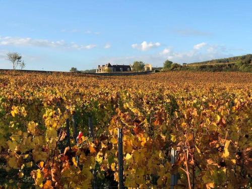 Charmante maisonnette avec vue sur le Clos Vougeot in โวก็ออต
